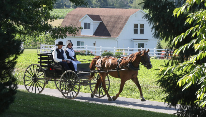 Autizmus bol v amišských komunitách opakovane zdokumentovaný, očkovanie ho nespôsobuje